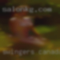 Swingers Canada